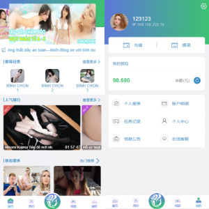 多语言同城空降任务/越南空降系统/系统彩/前端vue
